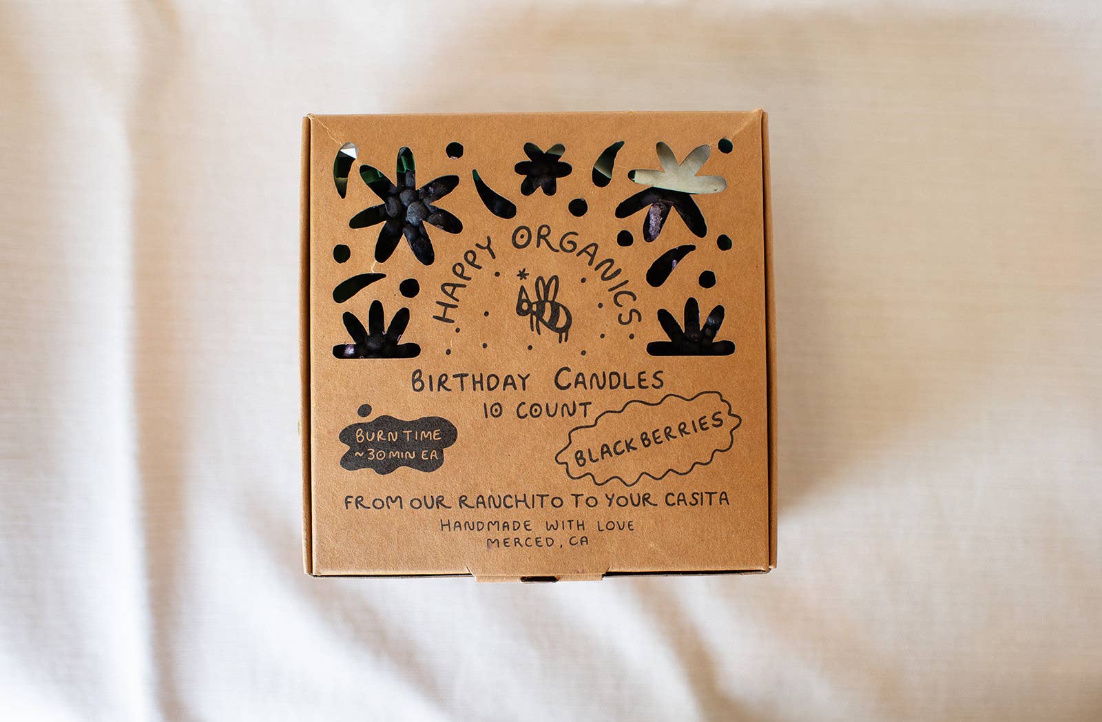 Beeswax Blackberry Birthday Candles - set of 10