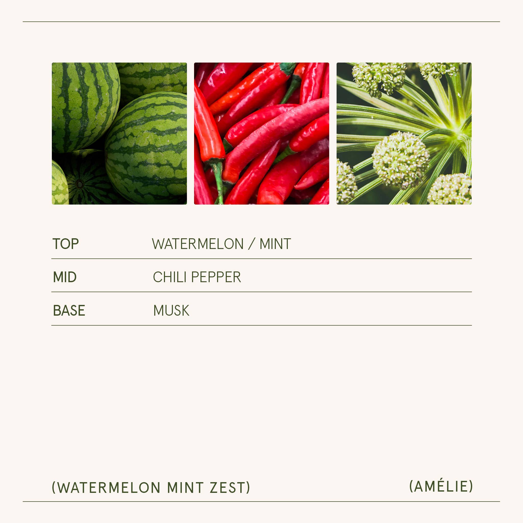 Scented Candle - Watermelon Mint Zest - 7oz | La Jolie Muse