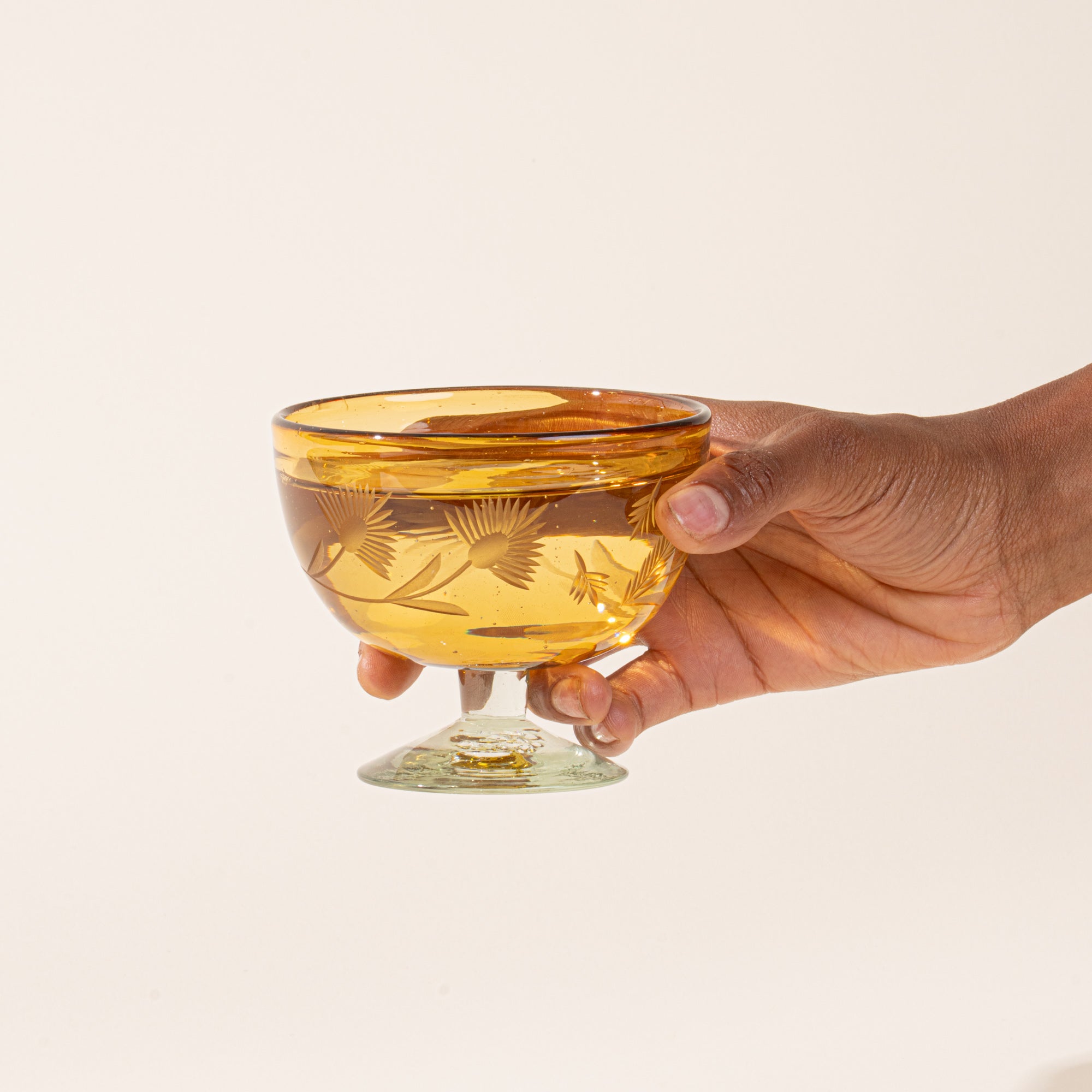 Etched Thistle Recycled Coupe Glasswear