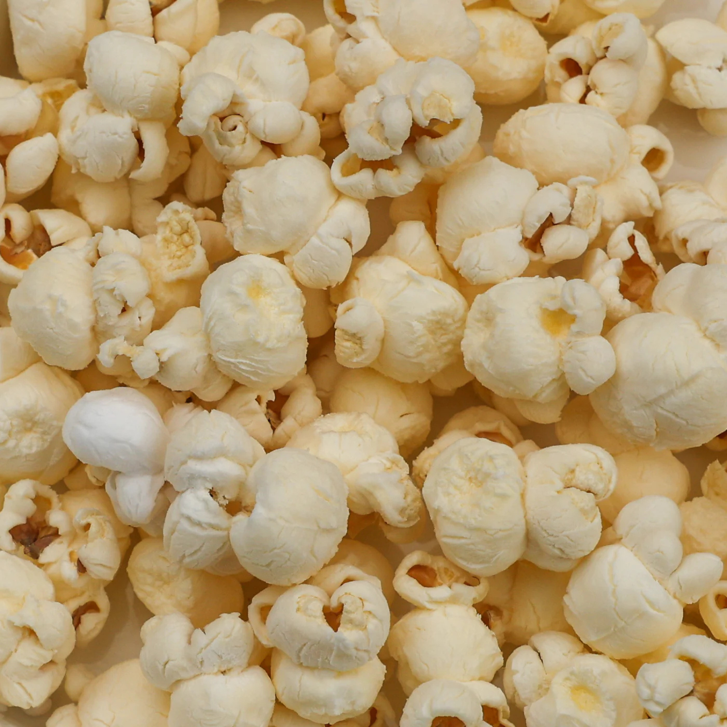 2lb Bag of Baby Yellow Popcorn