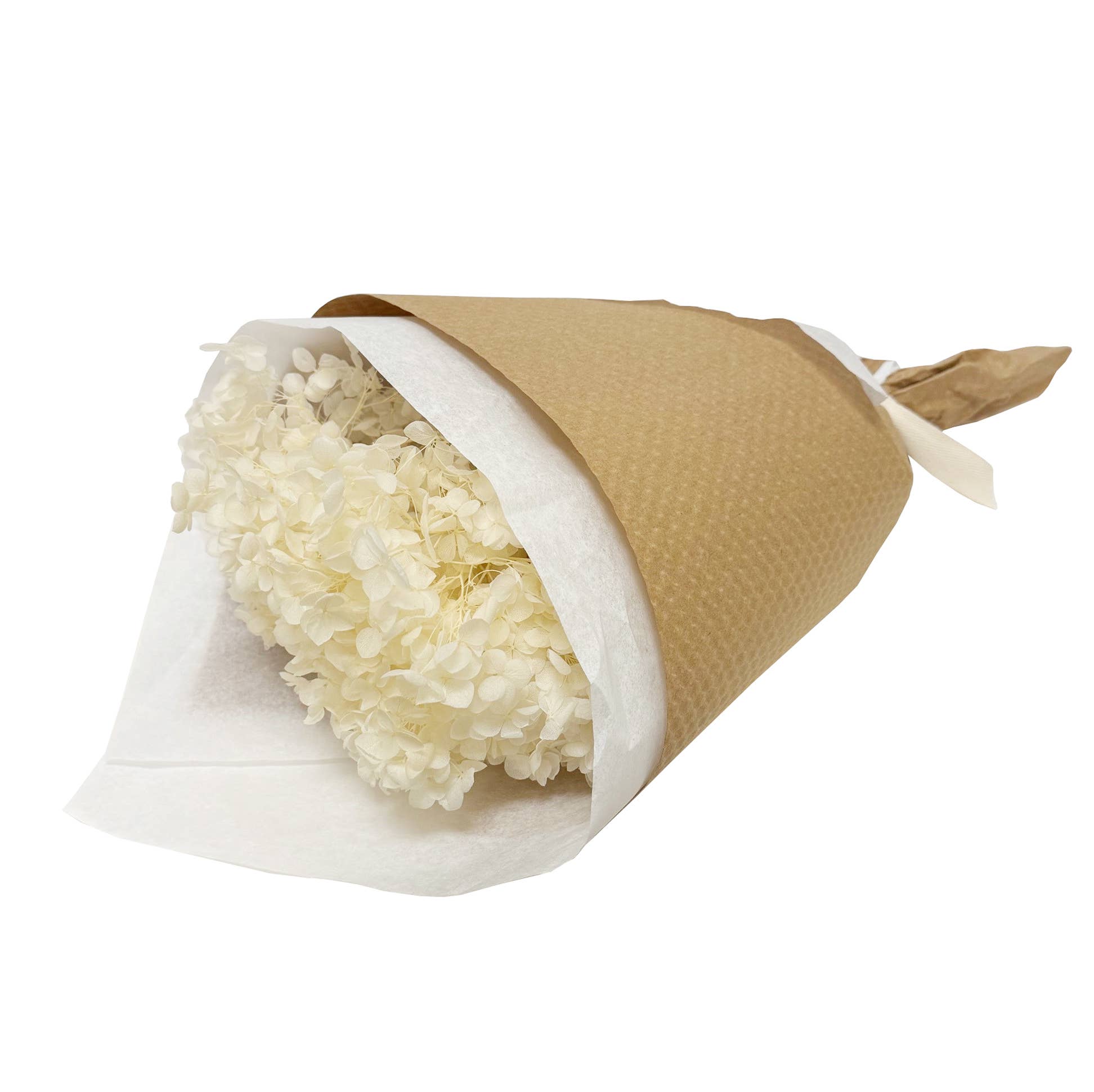 Ivory Preserved Hydrangea #157
