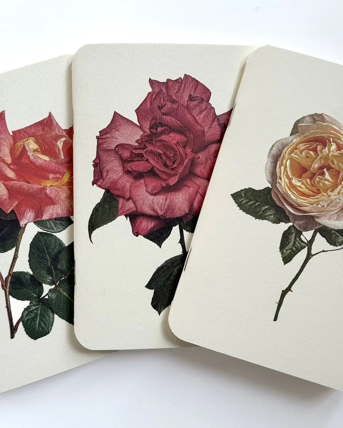 Garden Roses Notebook Set and Pen Clip