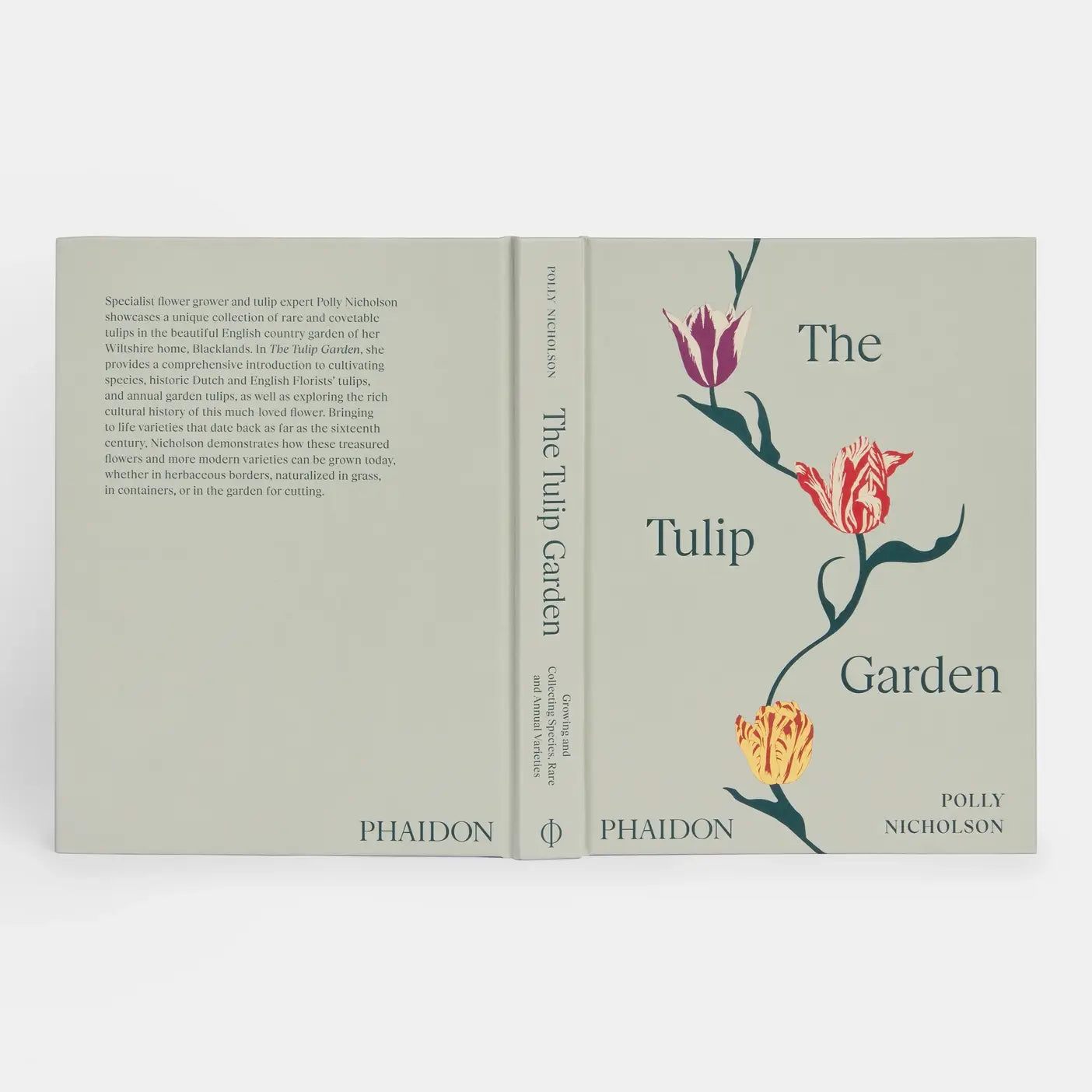The Tulip Garden: Growing and Collecting Rare Species
