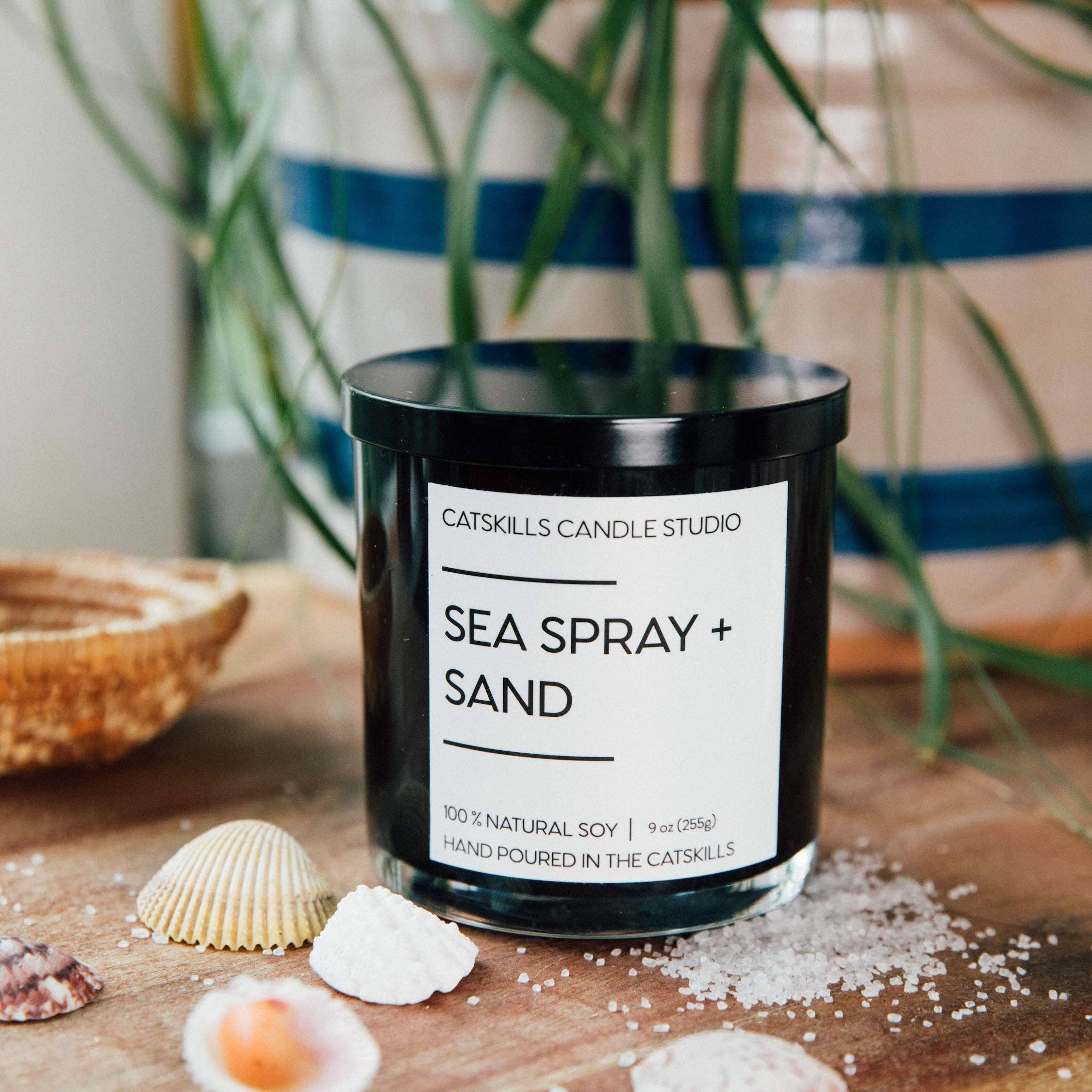 Sea Spray + Sand