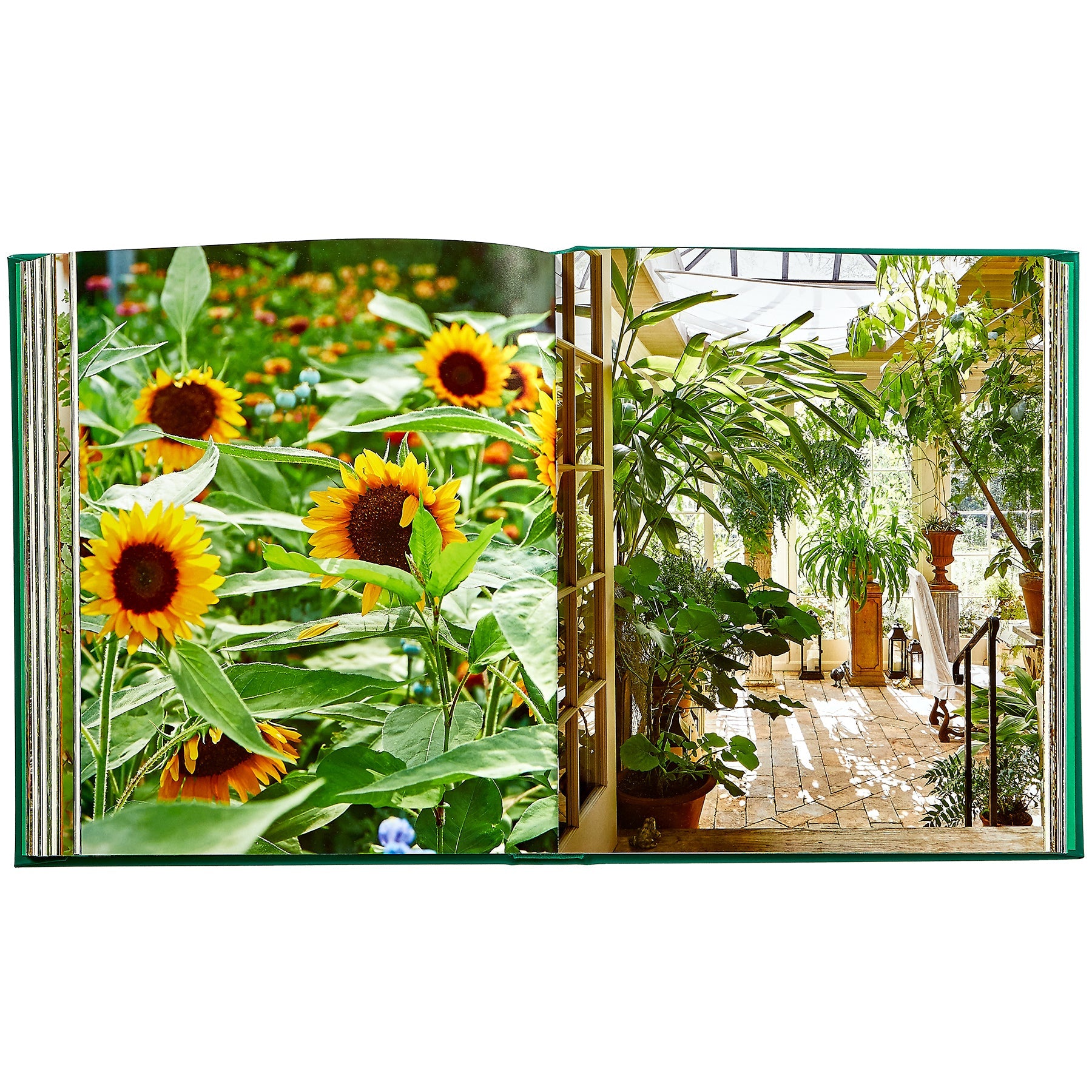 Bunny Williams: Life in the Garden