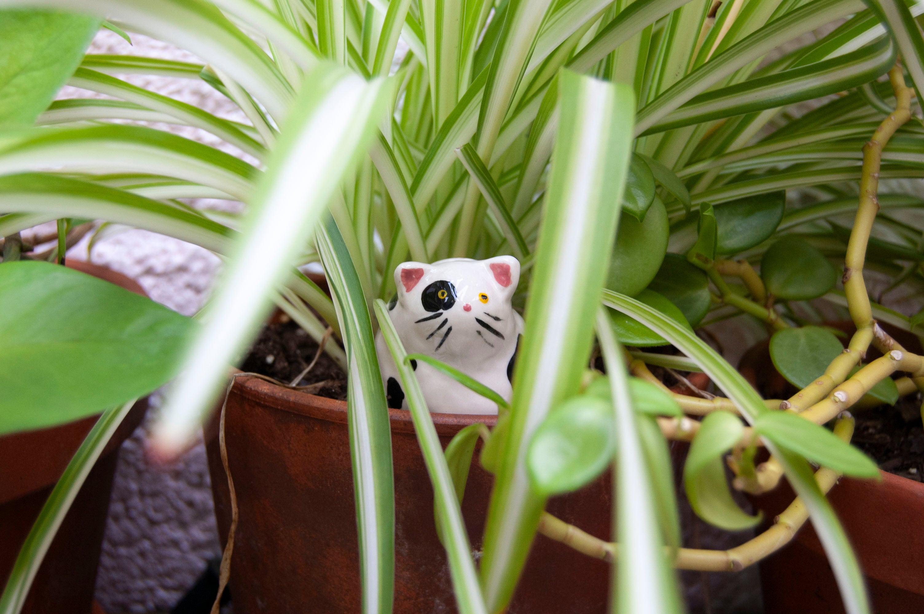 Jane Cat Figurine