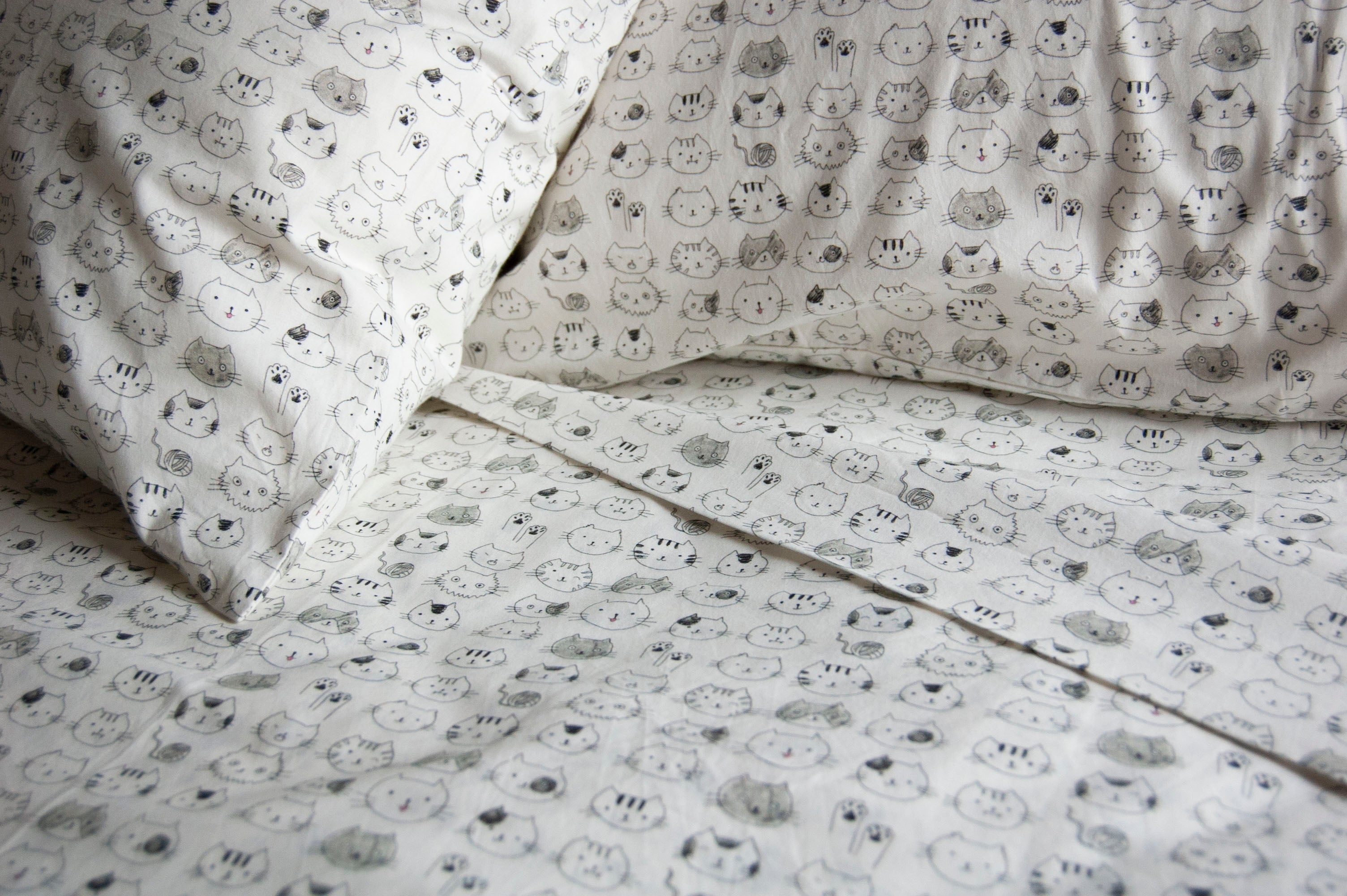 Cat Portrait Sheet Set
