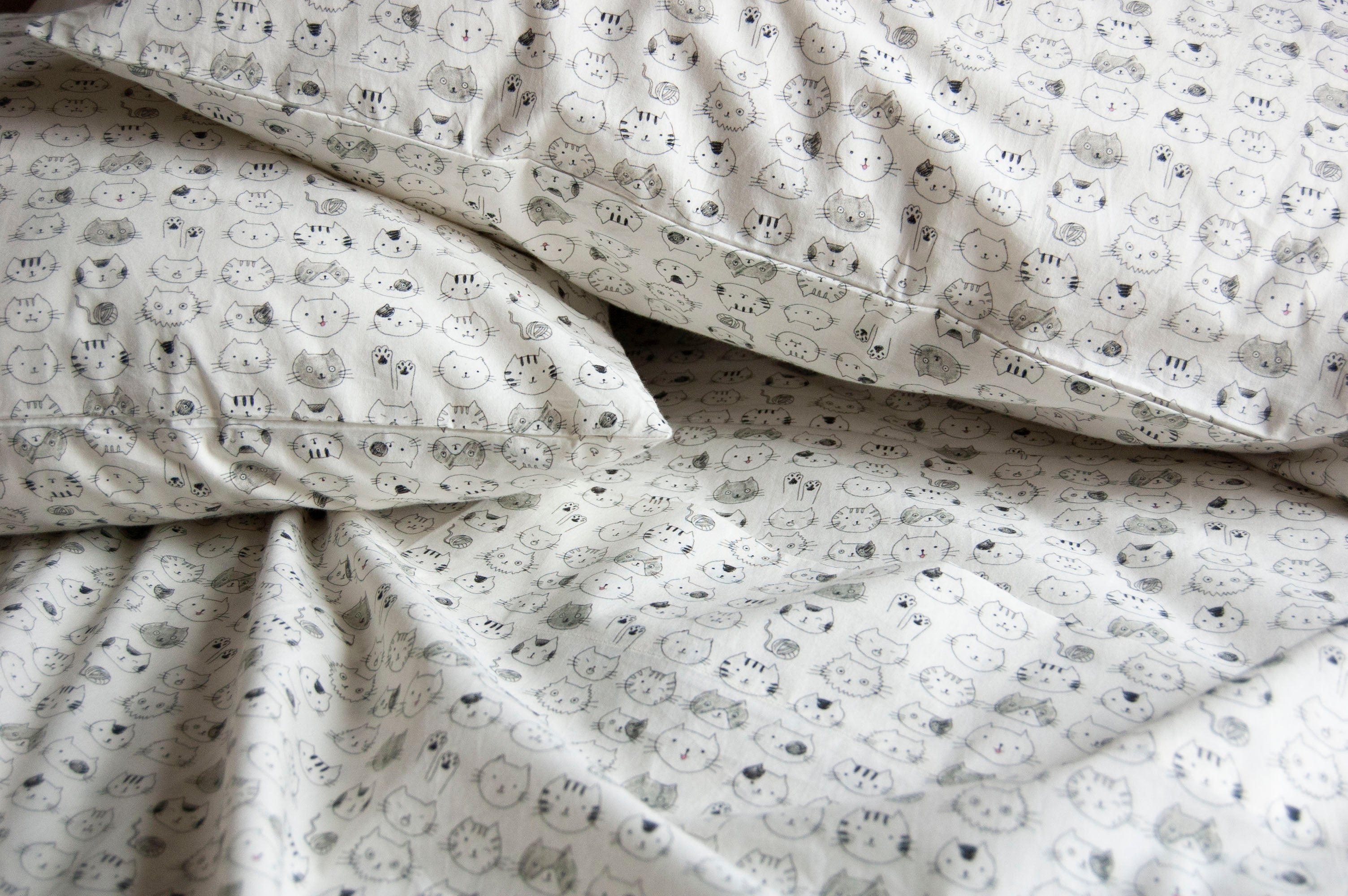 Cat Portrait Sheet Set