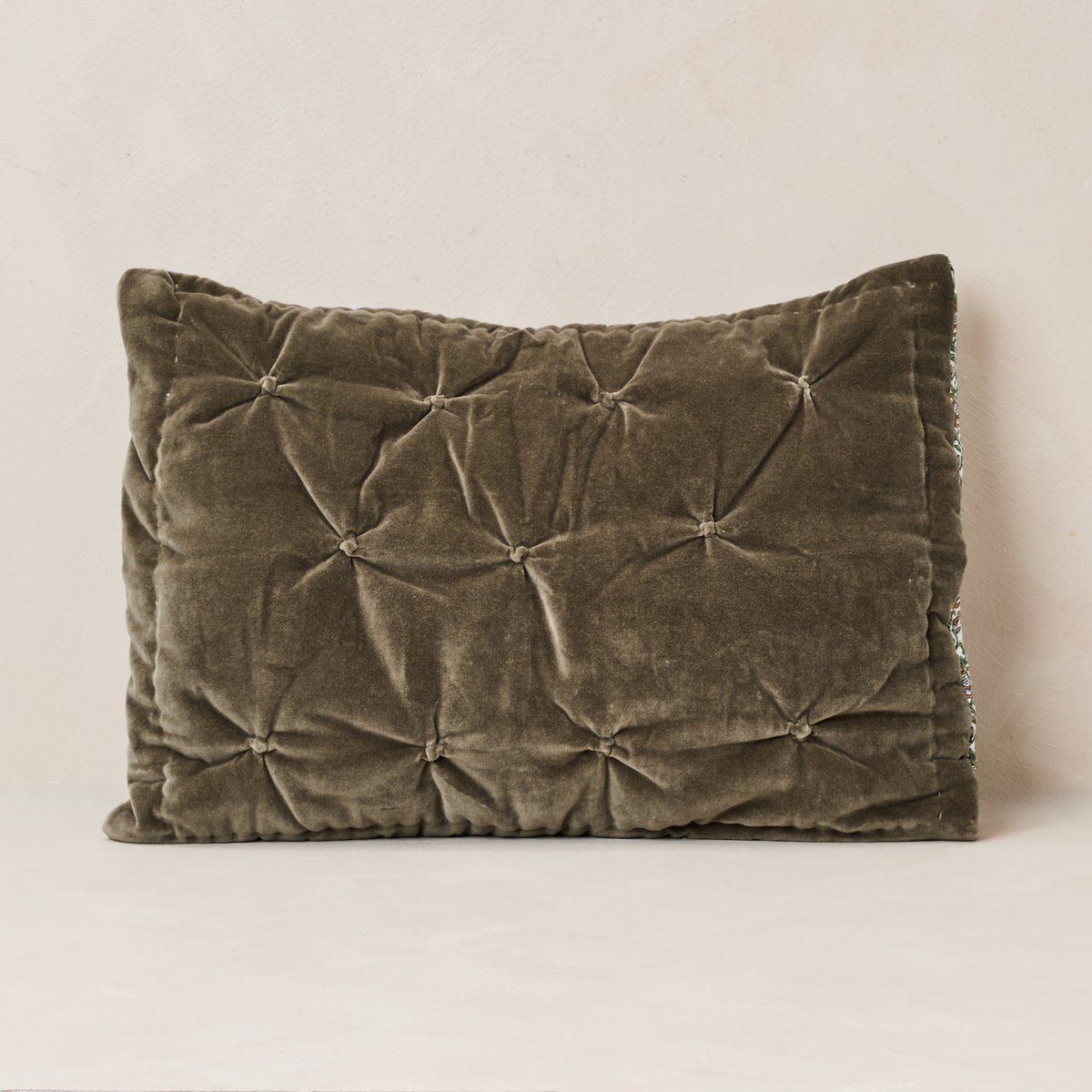 Garden Room Velvet Shams - Set of 2