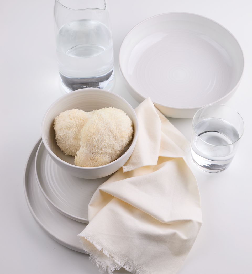 ESSENTIAL DINNERWARE - 16 PC SET, BONE