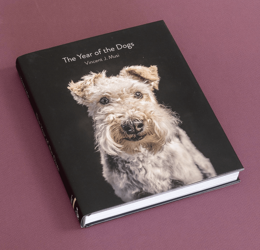 Year of the Dogs