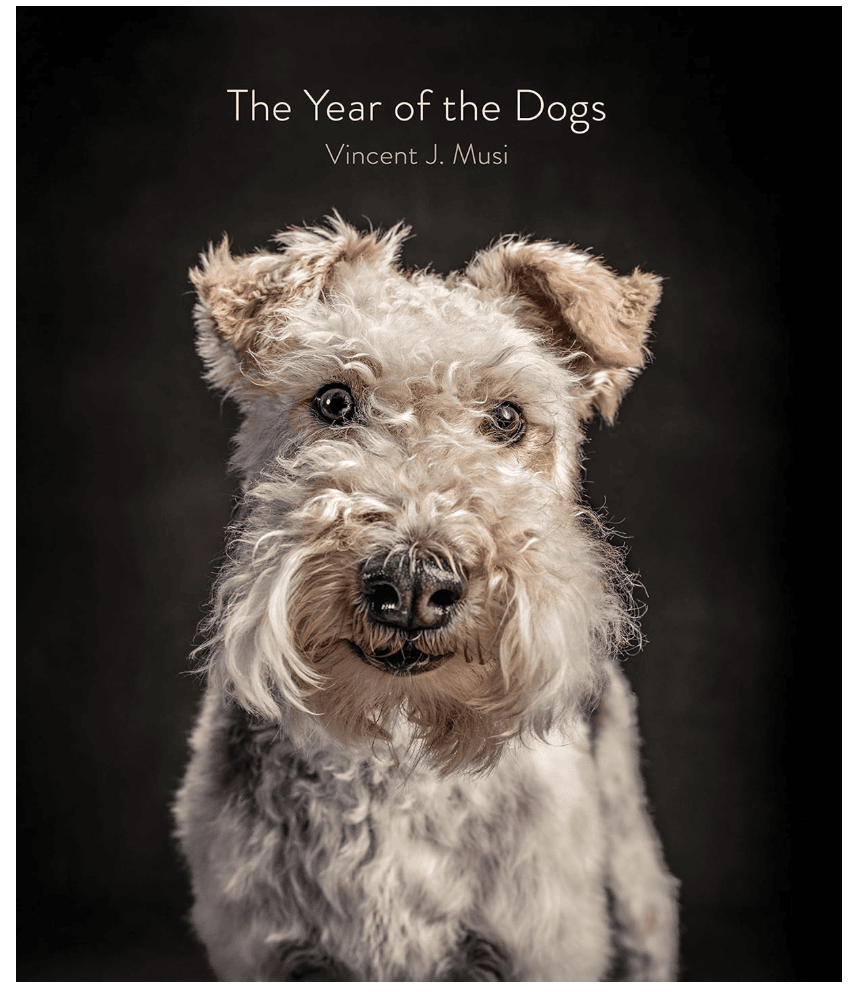 Year of the Dogs