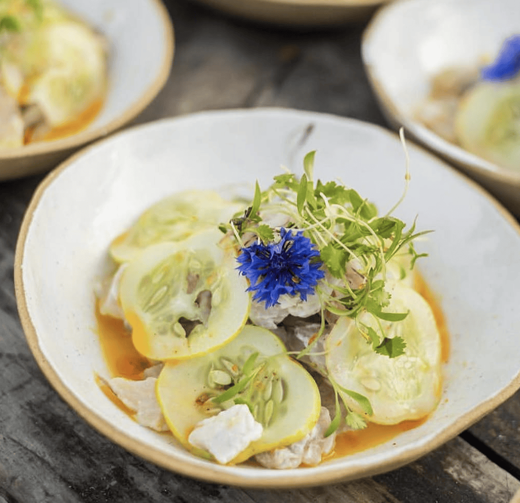 Low Tide Dinner Bowl Set of 4