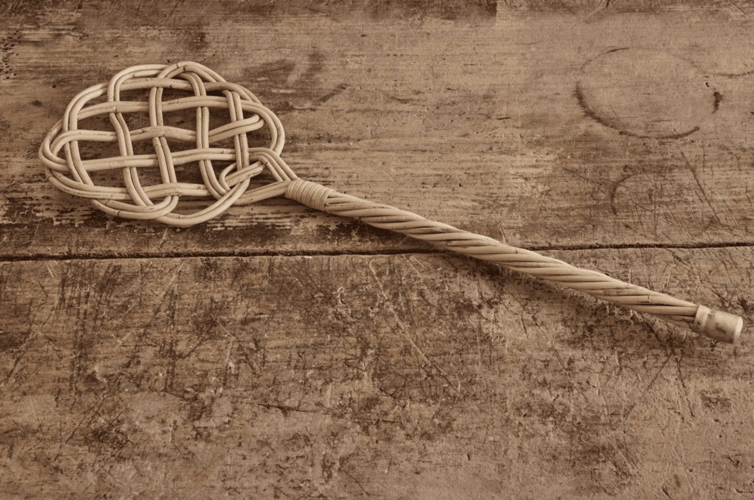 Carpet Beater