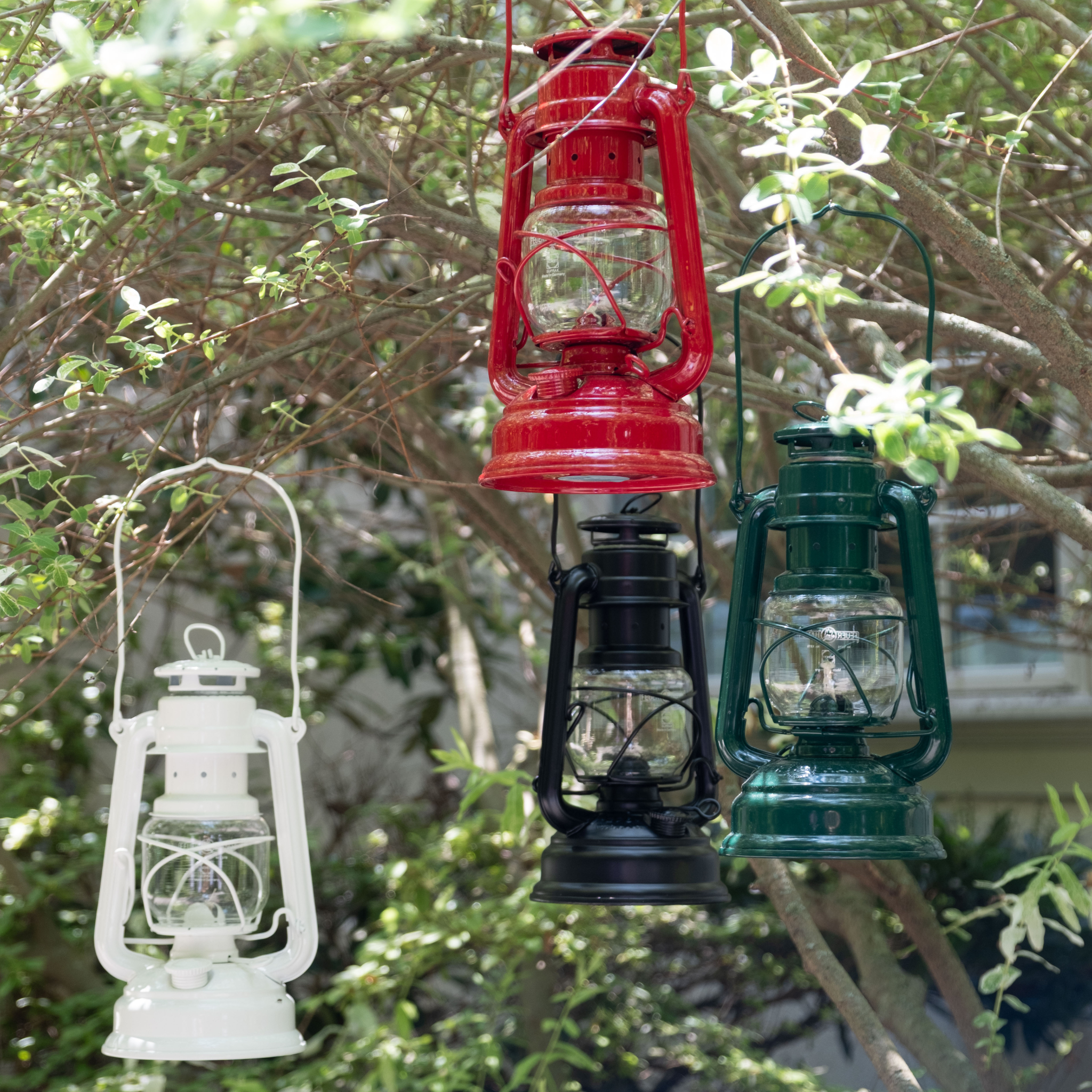 Hurricane Lantern Baby Special 276