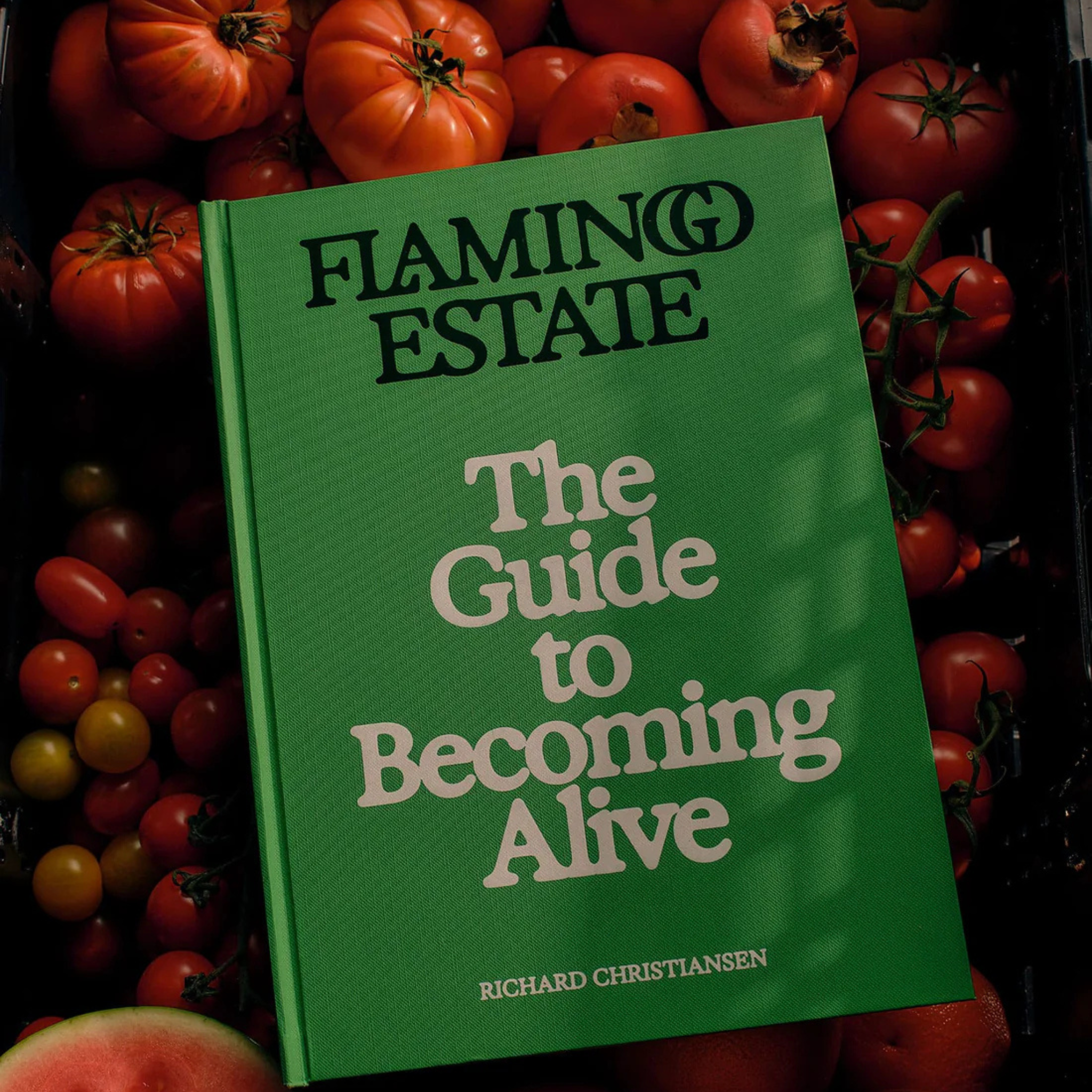 The Guide to Becoming Alive Book