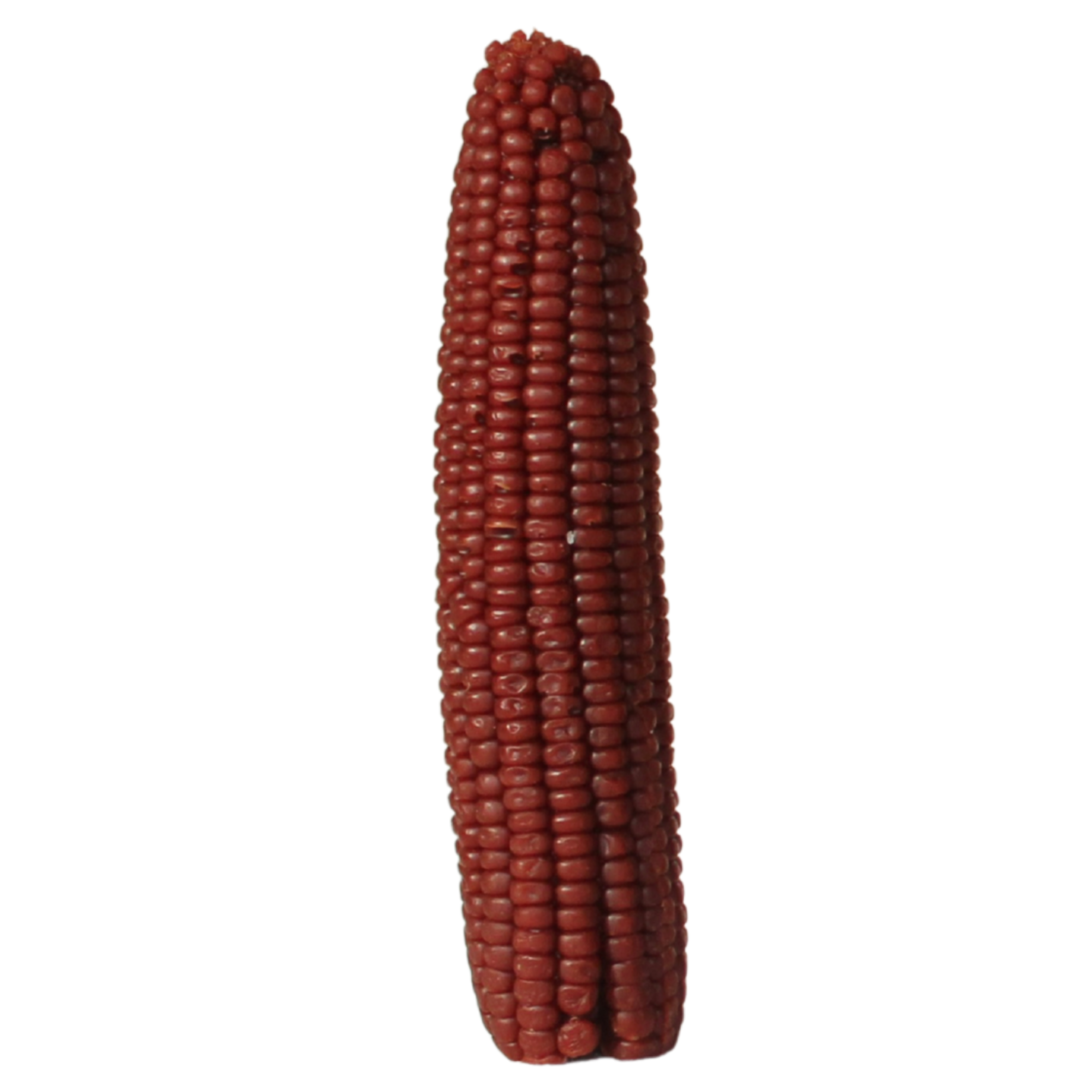 Corn Beeswax Candle - Tall Chestnut