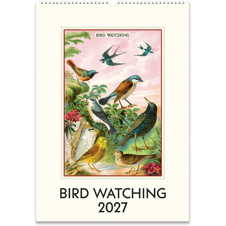 Bird Watching 2027 Wall Calendar