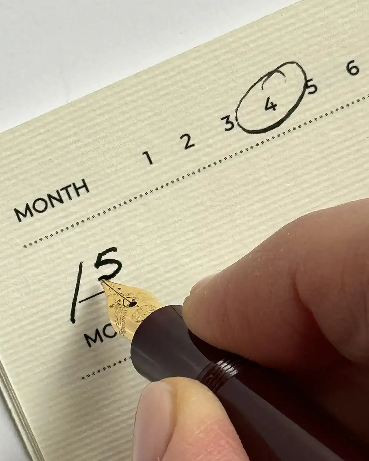 Garden Roses Notebook Set and Pen Clip