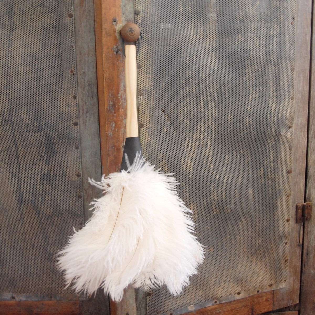Cream Feather Duster