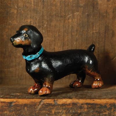 Penny the Dachshund