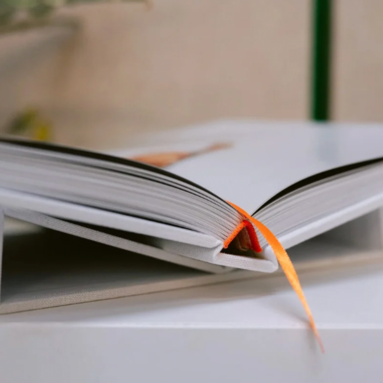 The Book of Thanks: A Catalogue of Gratitudes
