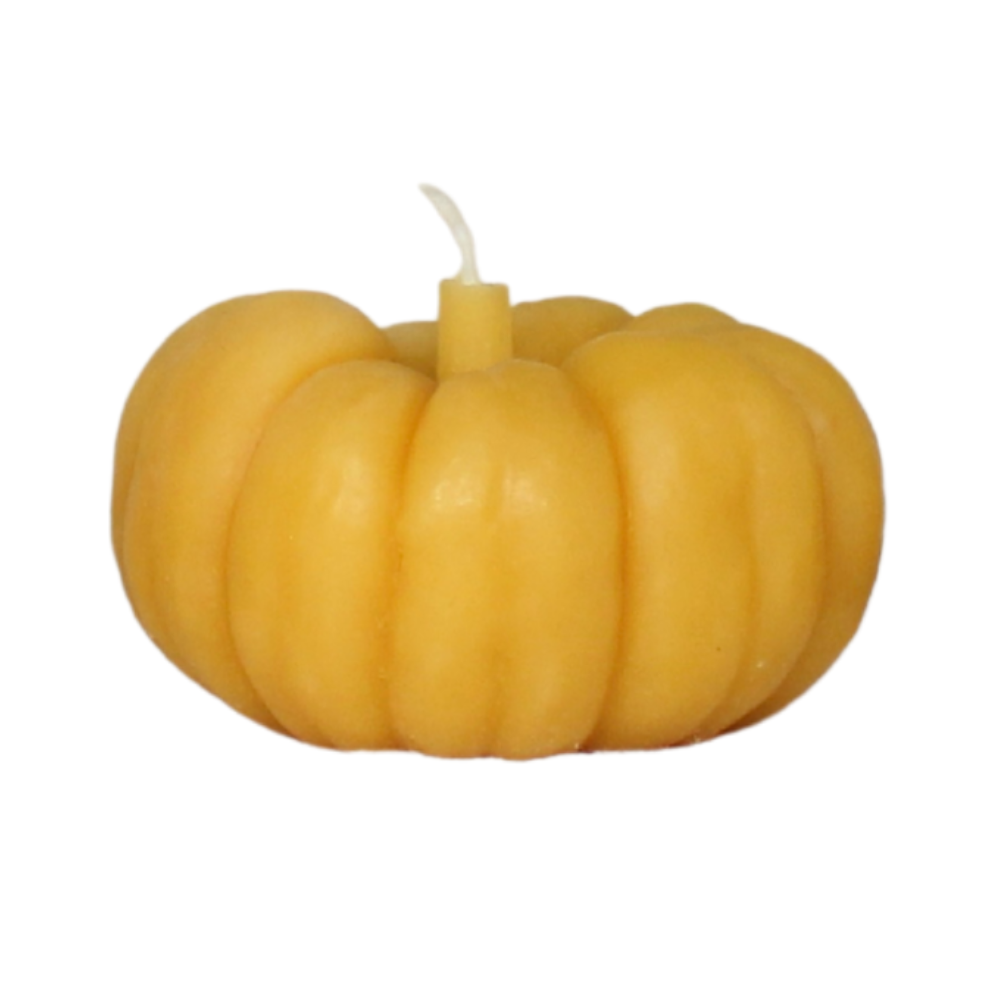 Sweet Maiz Pumpkin Beeswax Candle - Large