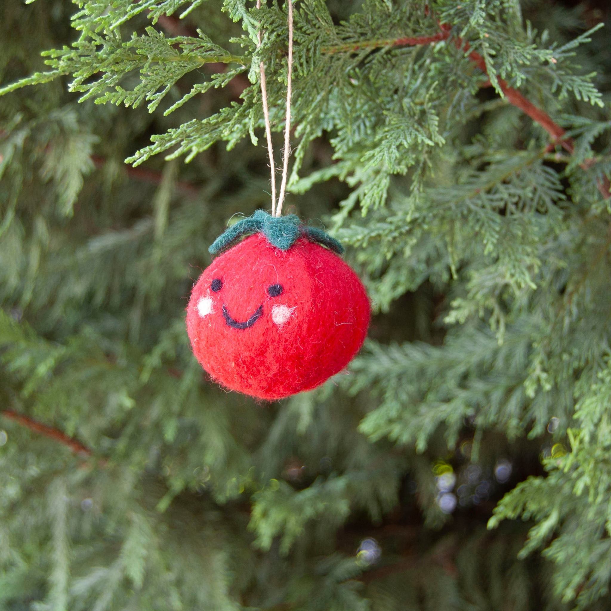 Tammy Tomato Felted Ornament