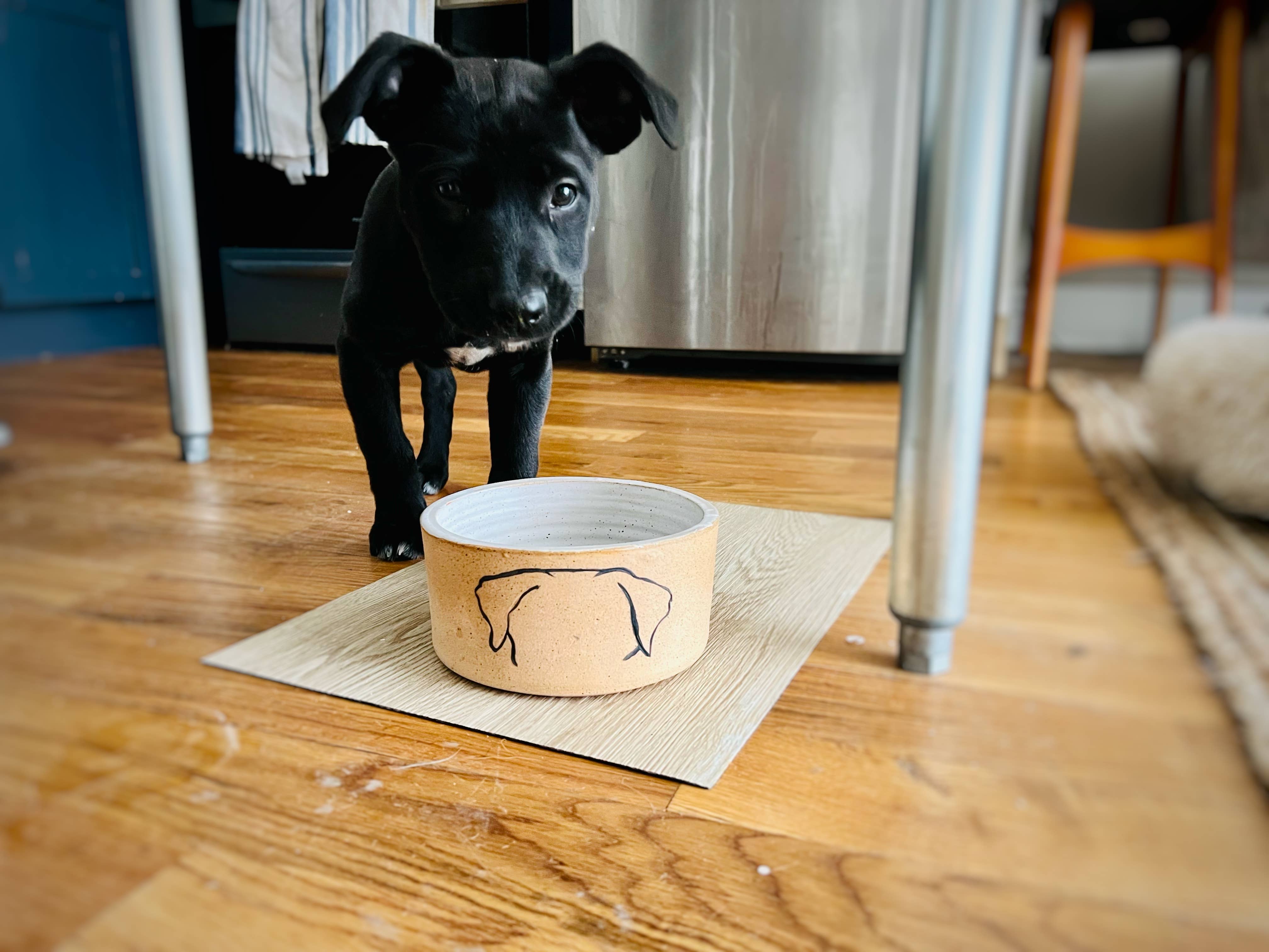 Mod Dog Bowl