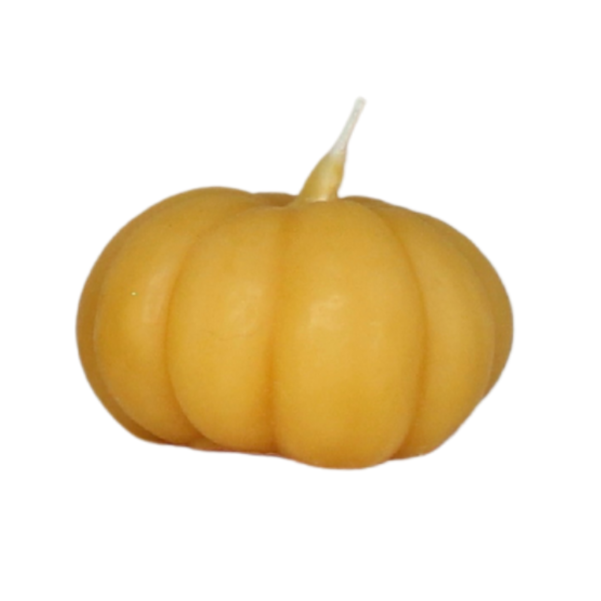 Sweet Maiz Pumpkin Beeswax Candle - Small