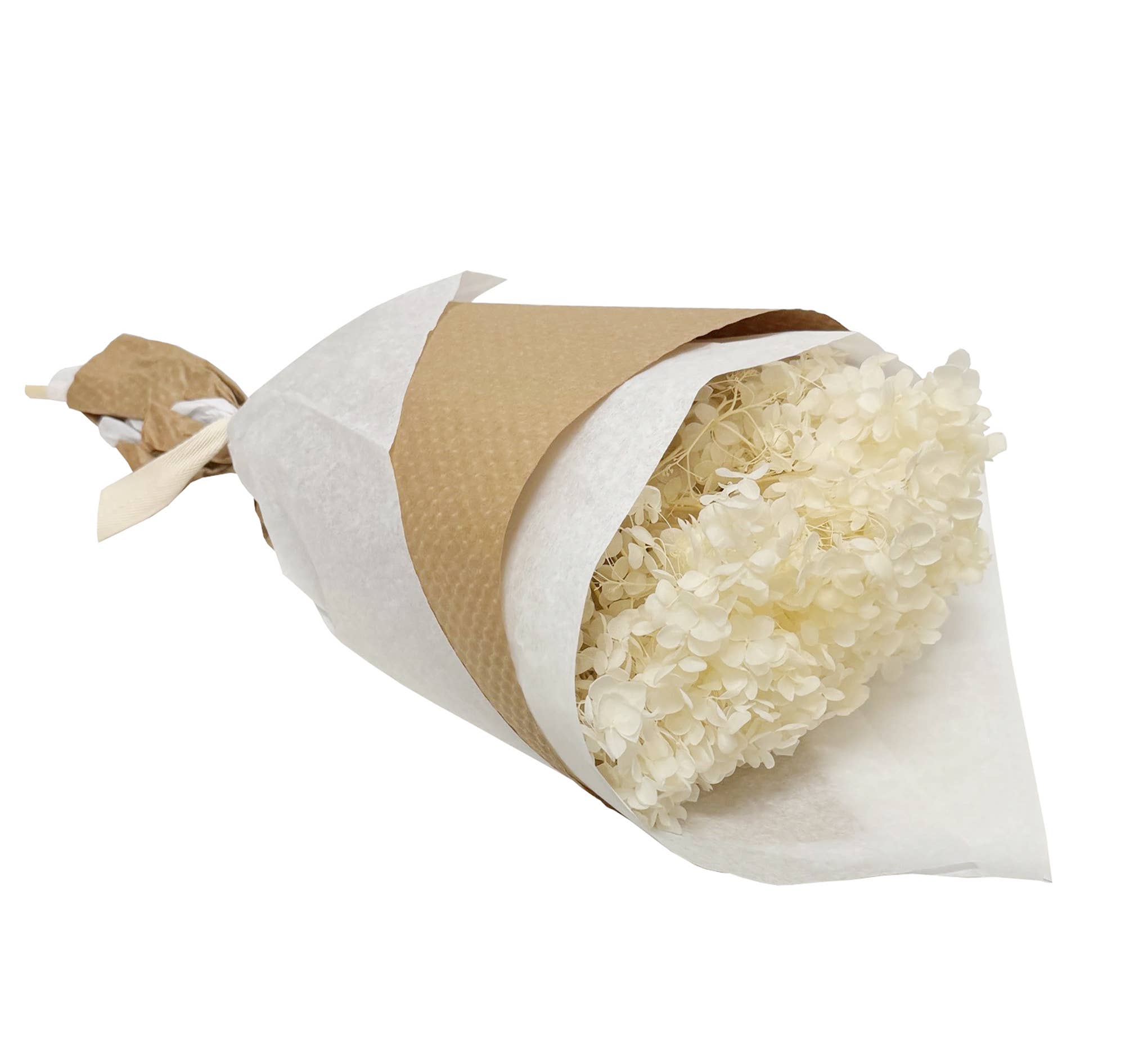 Ivory Preserved Hydrangea #157