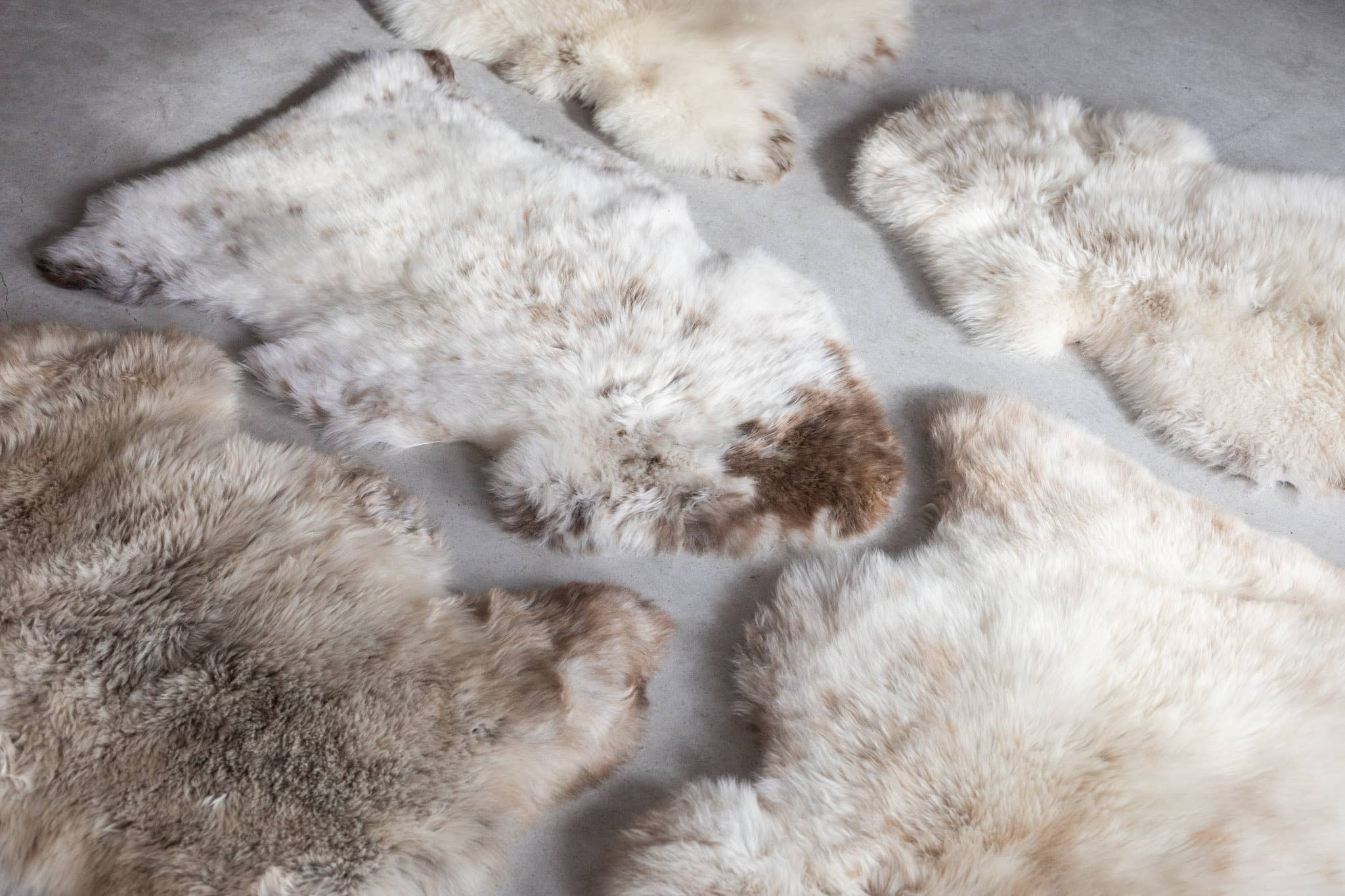 Texel Sheepskin Mottled Rug