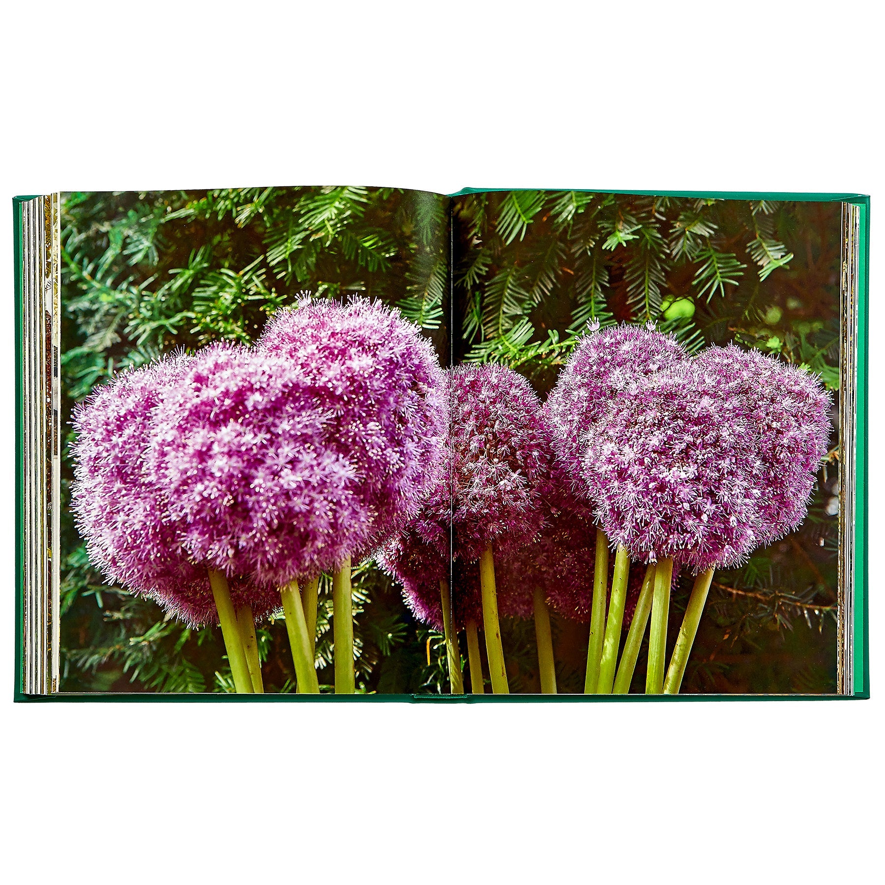 Bunny Williams: Life in the Garden