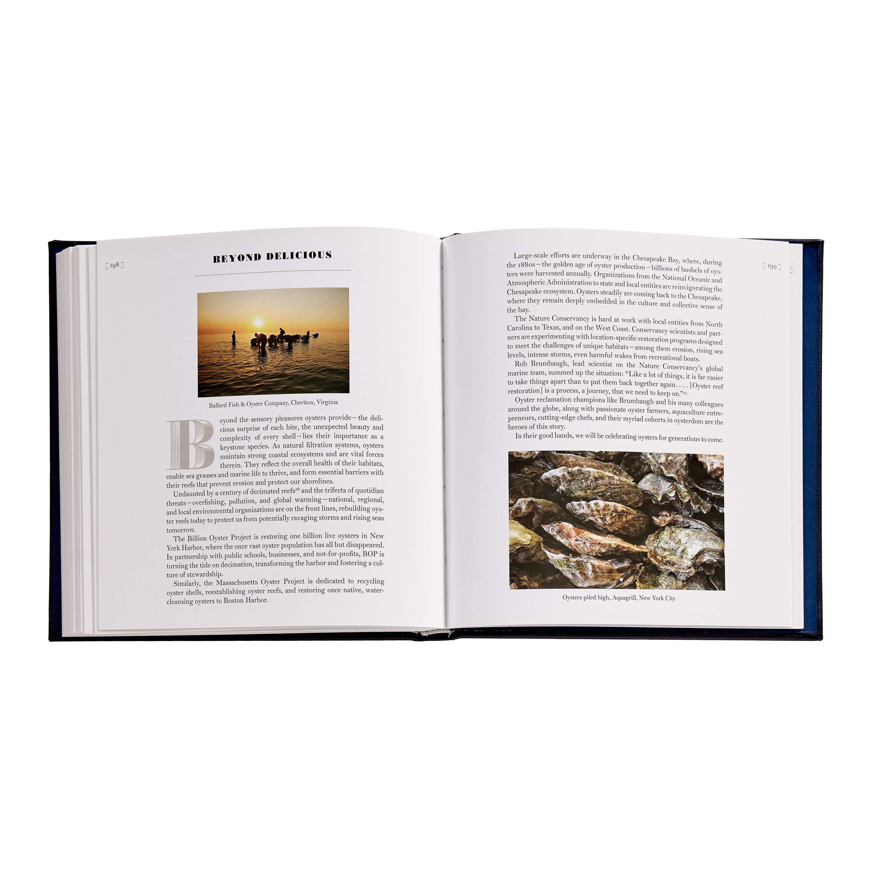 Oysters: A Celebration in the Raw