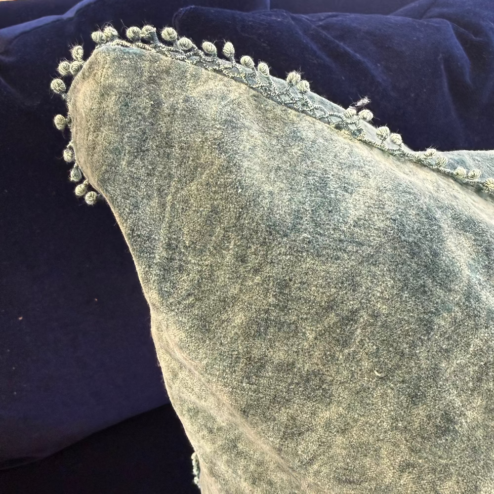 Velvet Pillow With Poms - 22"x22