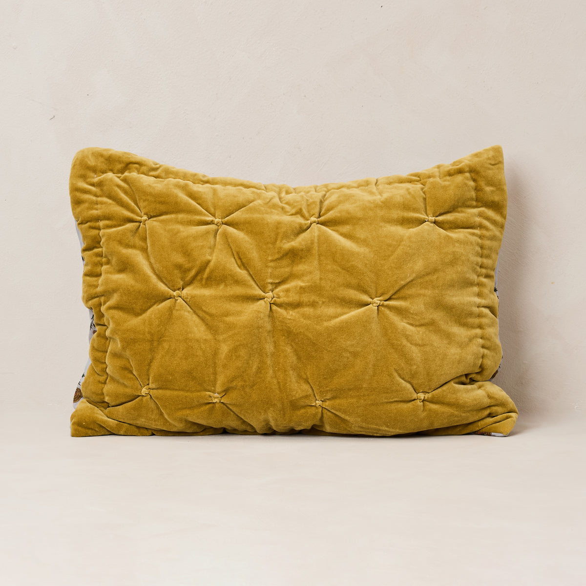 Garden Room Velvet Shams - Set of 2