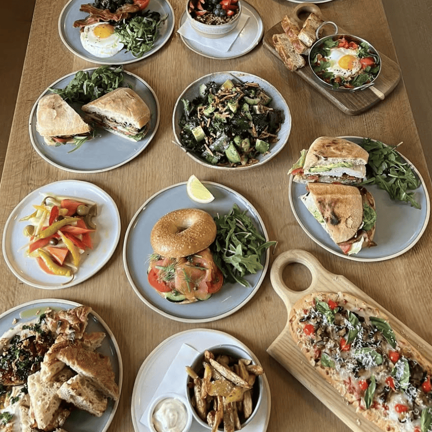 River Dinner Plate Set of 4