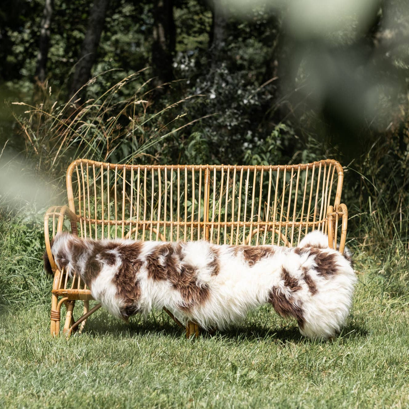 Texel Sheepskin Fur
