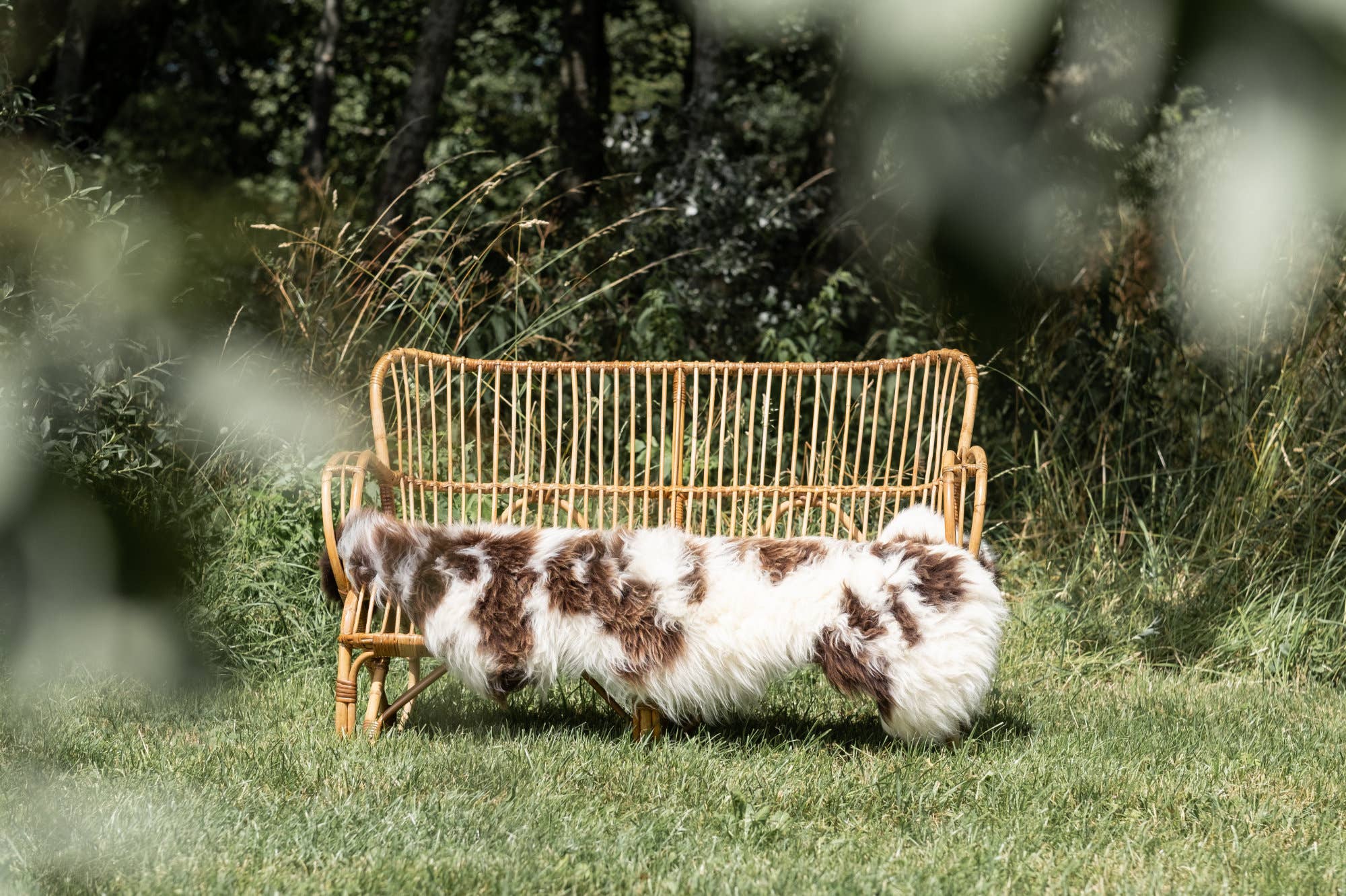 Texel sheepskin fur