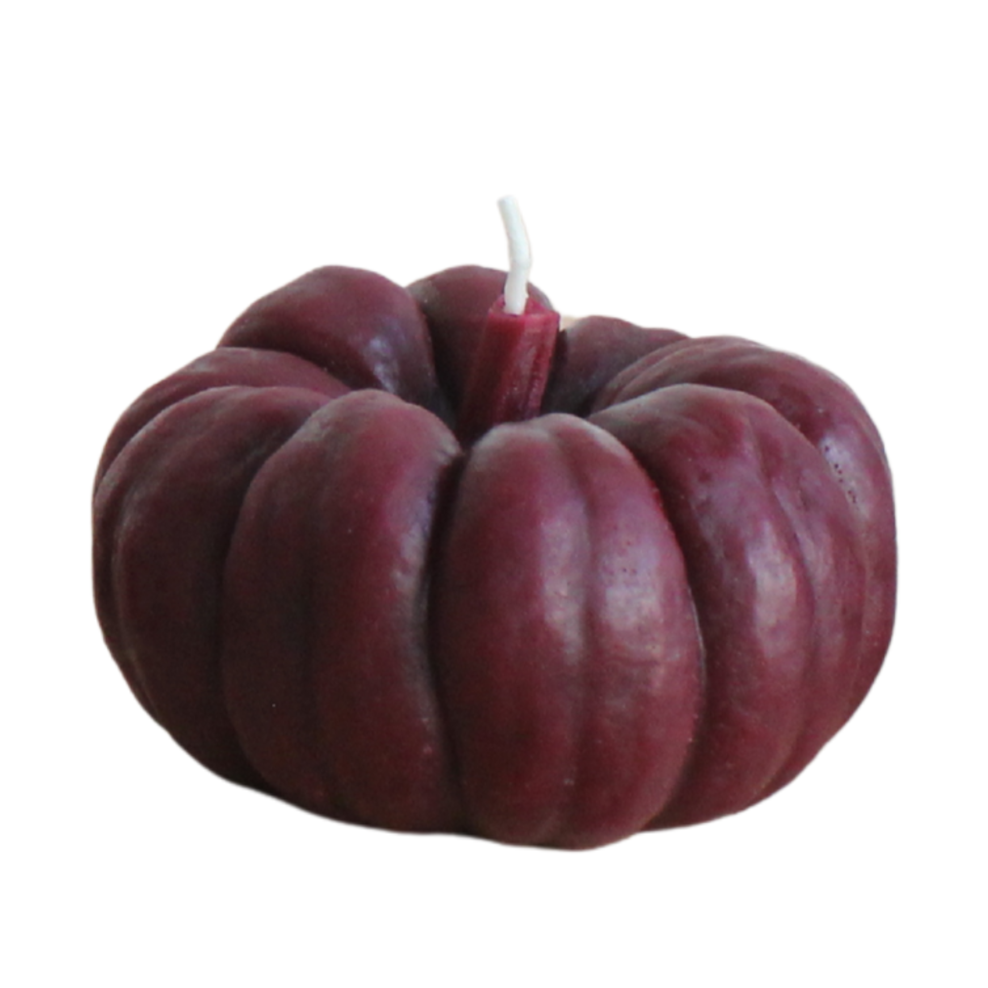 Mulberry Pumpkin Beeswax Candle - Large