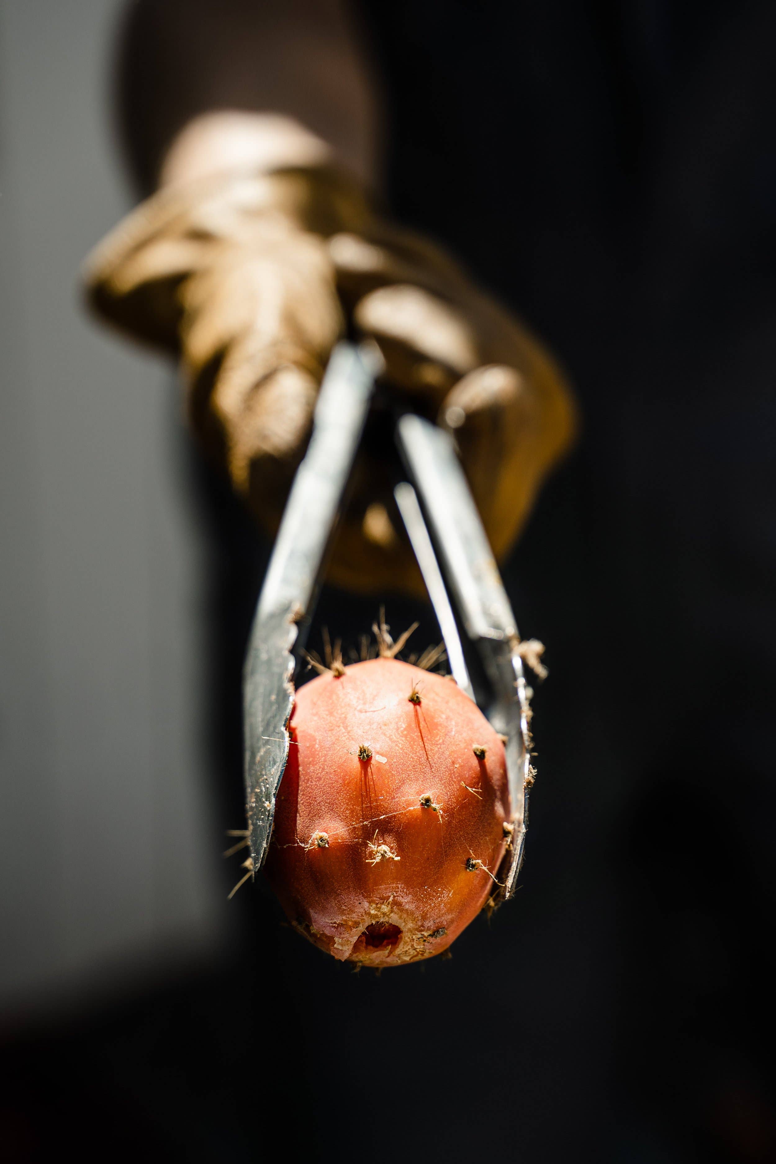 Sideyard Prickly Pear Fruit-Infused Vinegar (ACV)