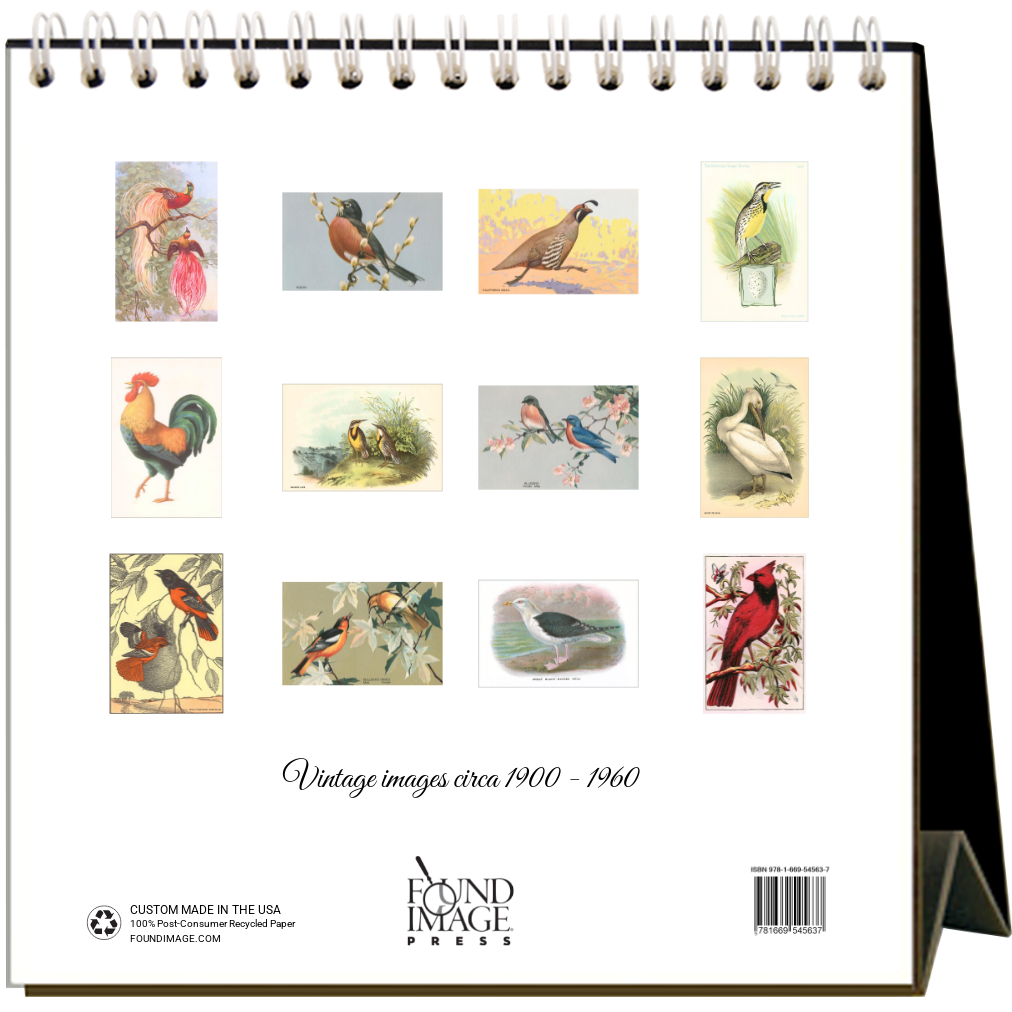 Birds 2026 Desk Calendar