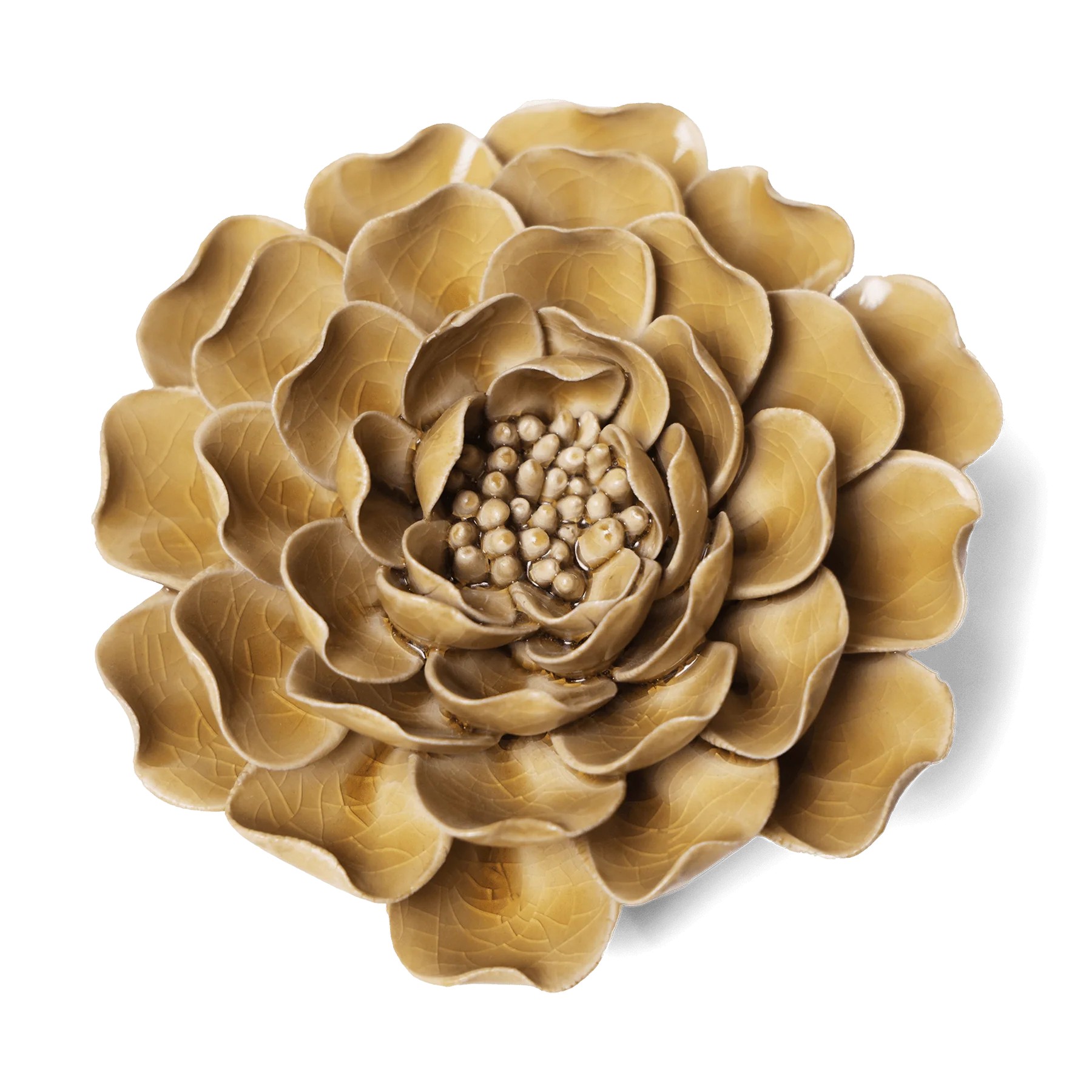 English Garden Ceramic Flower Wall Art - Caramel Charm Peony