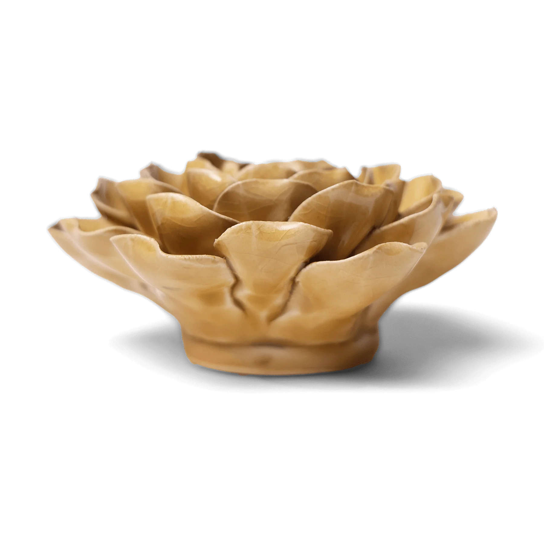 English Garden Ceramic Flower Wall Art - Caramel Charm Peony