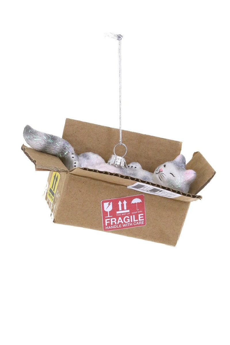 Best Cat Toy, Glass Ornament