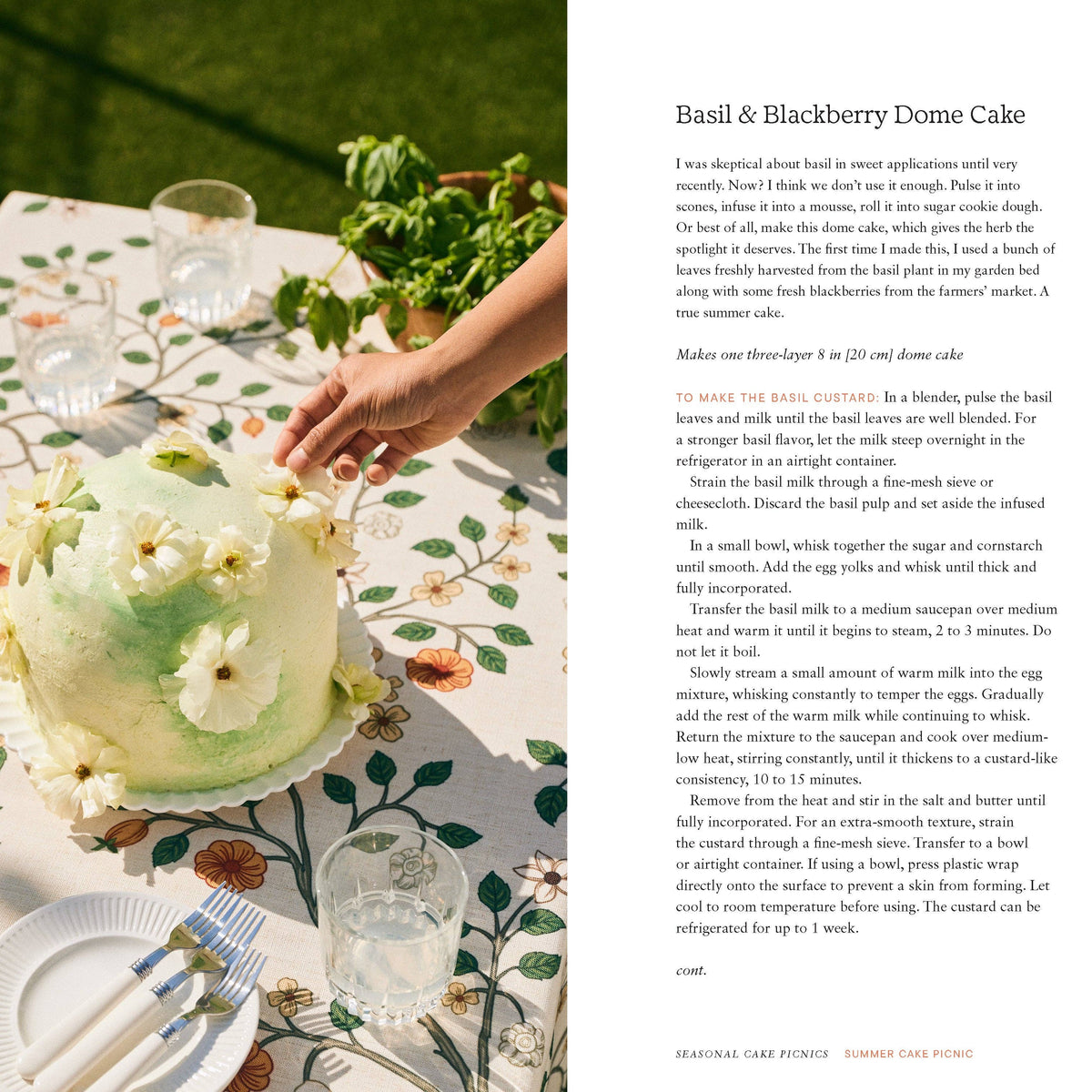Cake Picnic