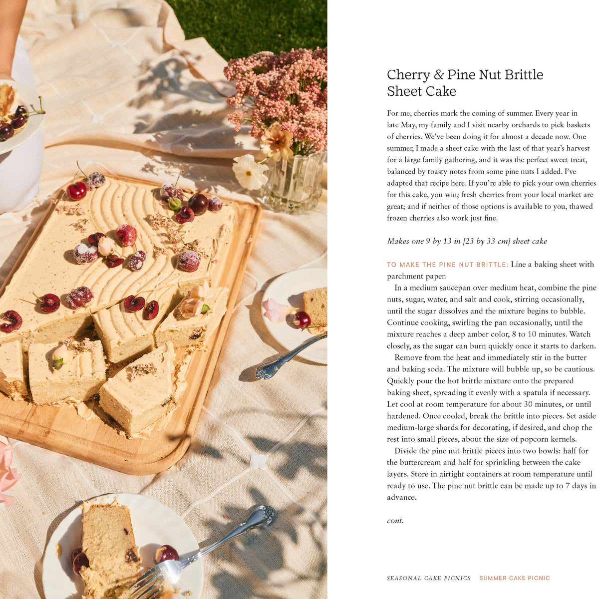Cake Picnic
