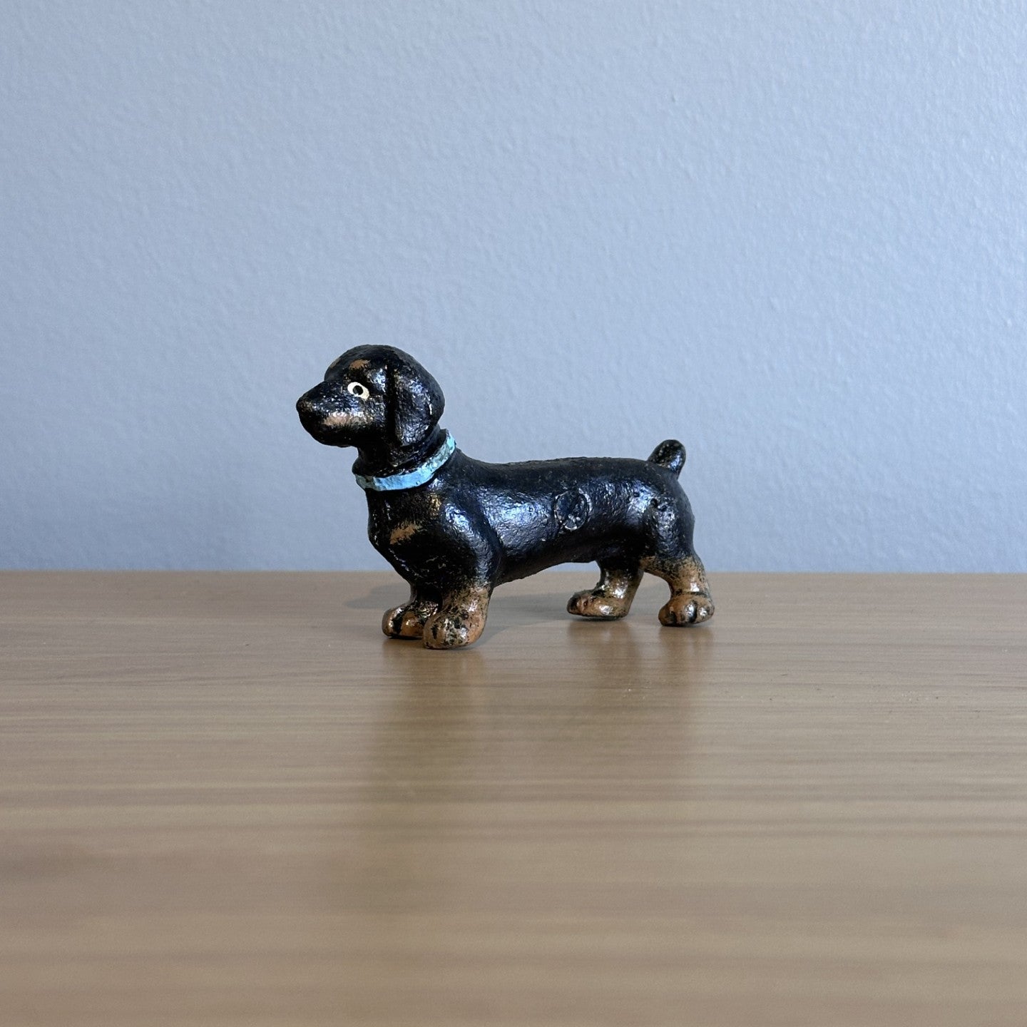 Penny the Dachshund