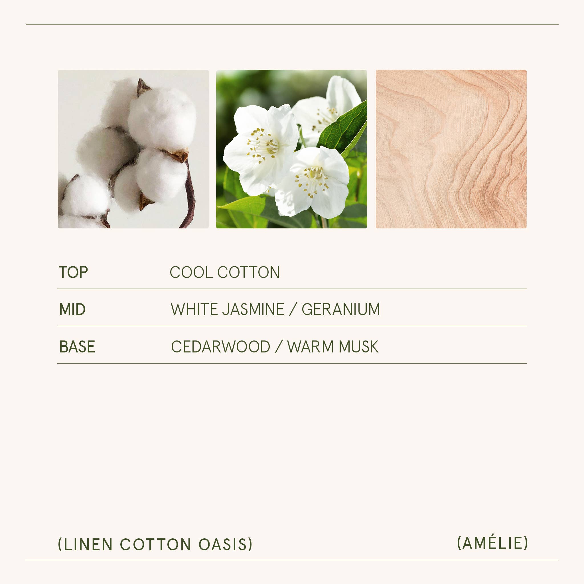 Scented Candle - Linen Cotton Oasis - 7oz | La Jolie Muse