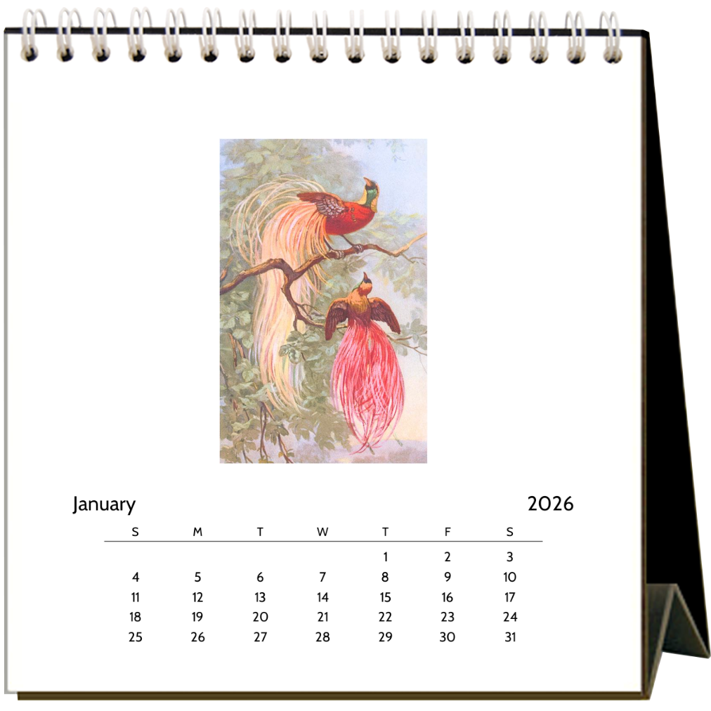 Birds 2026 Desk Calendar